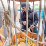выездной квест форт боярд заказать москва и область